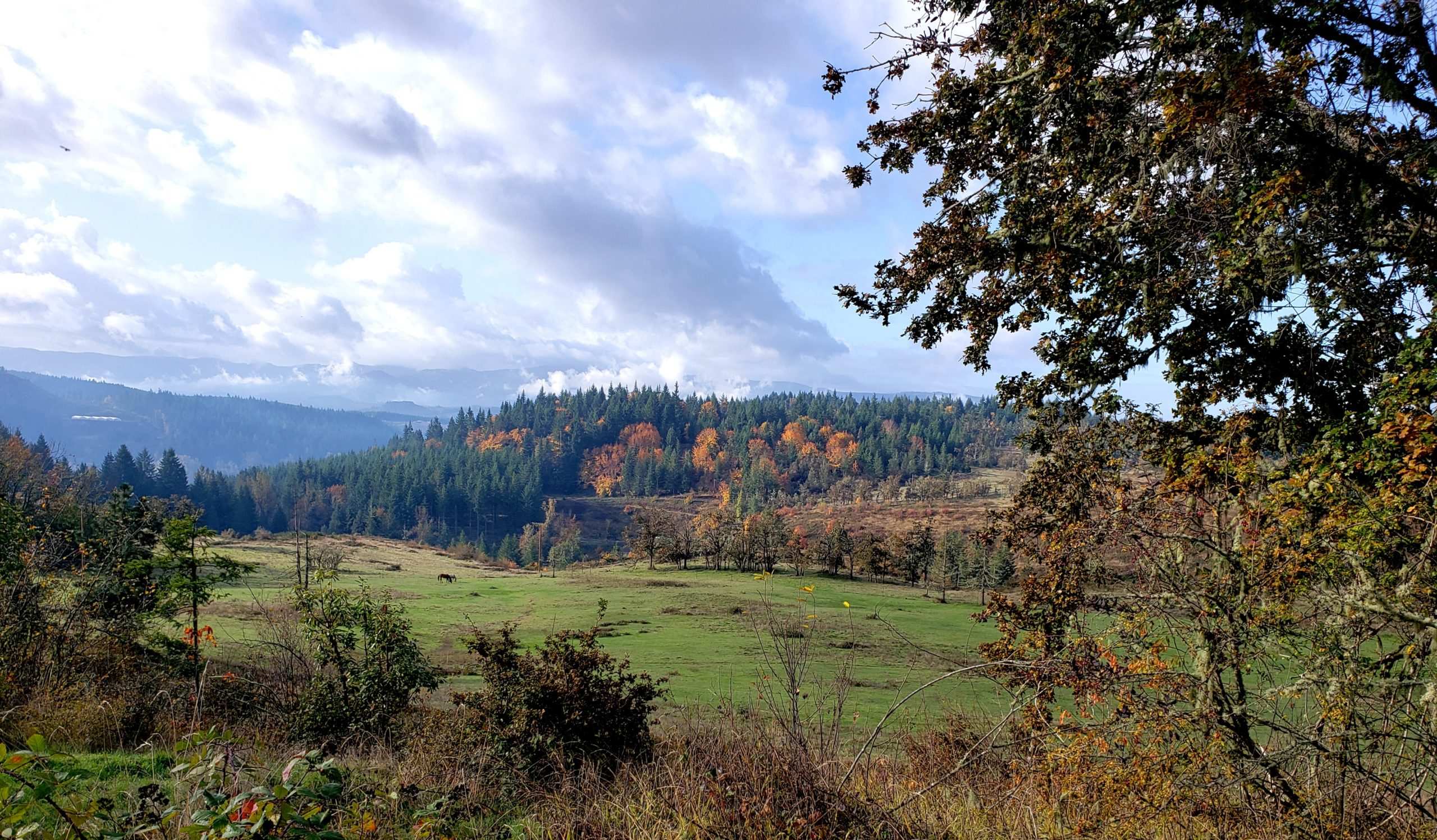 Fall Giving