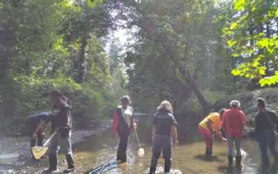 Earth Sculpting and more with Wisdom of the Elders and Blueprint Foundation at the Back Five