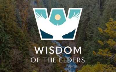 Native American Heritage Month