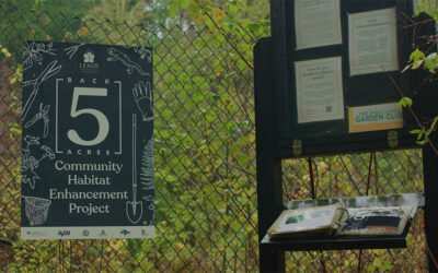 With Gratitude to Our Partners: The Ongoing Restoration and Renewal of the Back 5