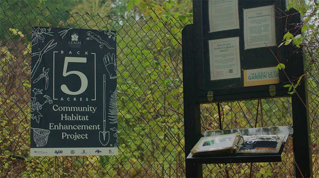 With Gratitude to Our Partners: The Ongoing Restoration and Renewal of the Back 5