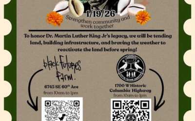 NIFSA Coalition Engagement: Community Updates & What’s Ahead