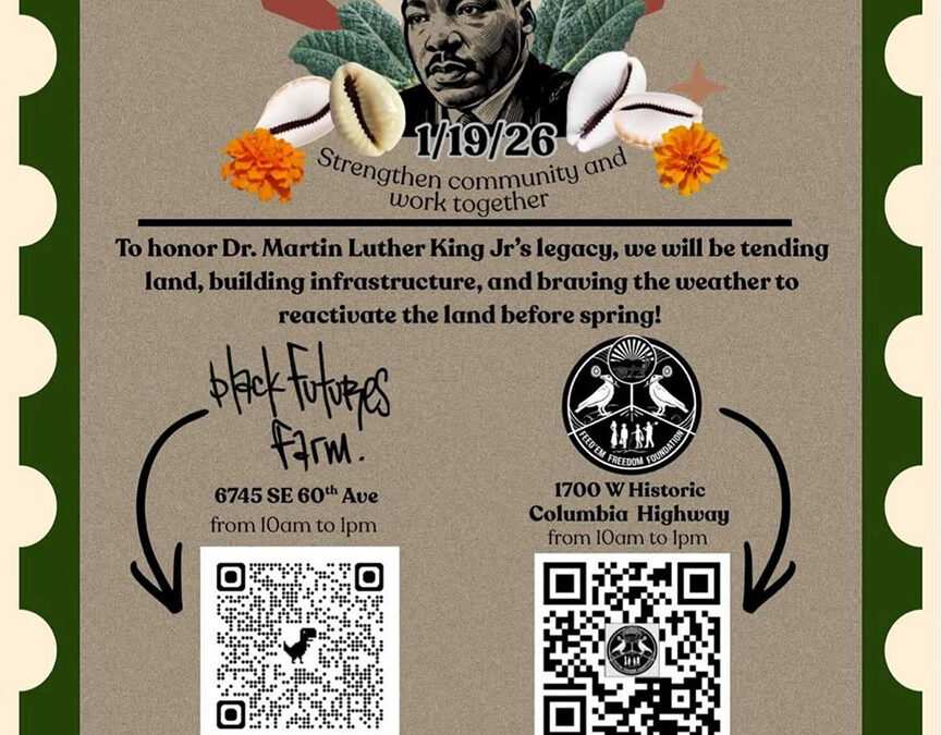 NIFSA Coalition Engagement: Community Updates & What’s Ahead