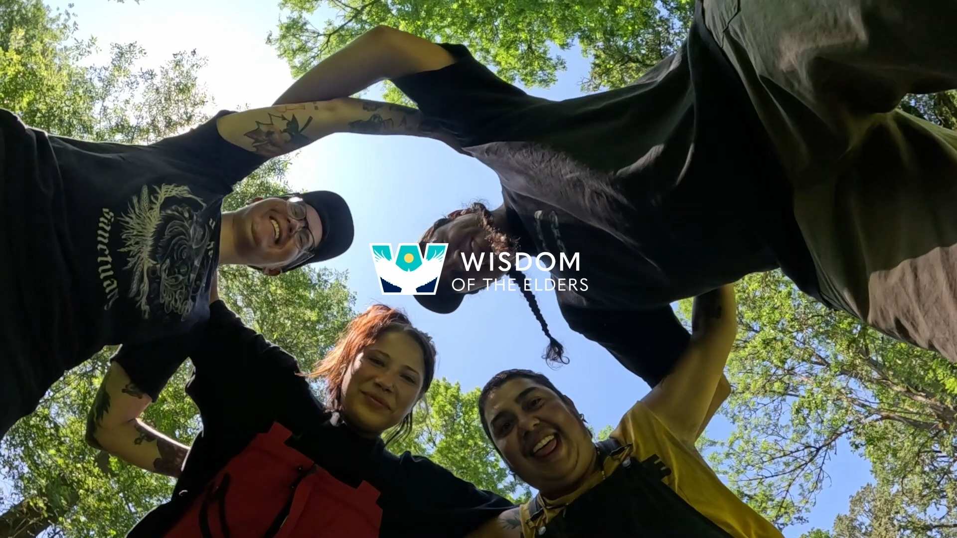 wisdom-plum-harvest-3